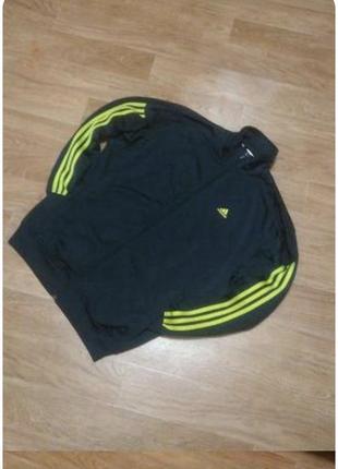 Мужская олимпийка от adidas