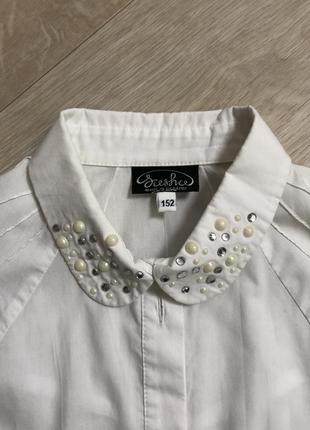 Блузка, сорочка, рубашка sasha2 фото