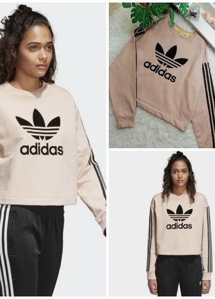 Свитшот худи adidas