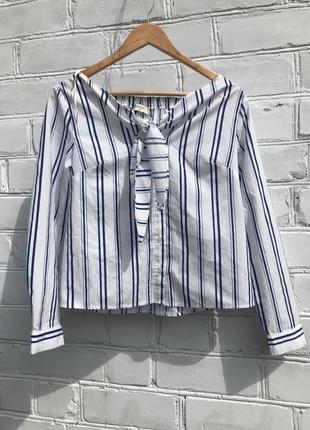 Сорочка, блуза 10/38eur/s,m papaya