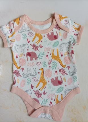 Боді new born