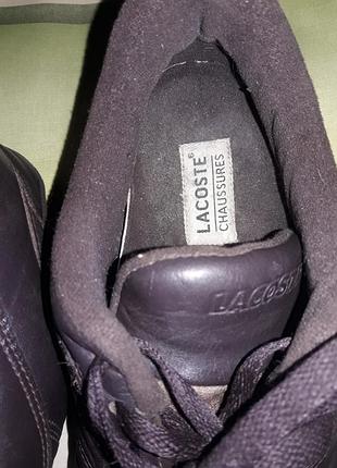 Кросівки lacoste 2