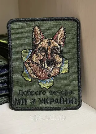 №126 шеврон кінологічний «доброго вечора ми з україни» 8*6.5 см