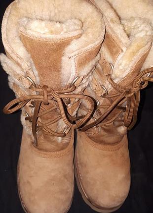 Евро 39-25 см  ugg 3