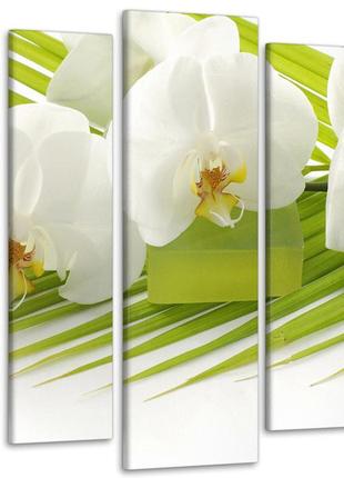 Модульная картина орхидея art-33_5 90х132 см melmil