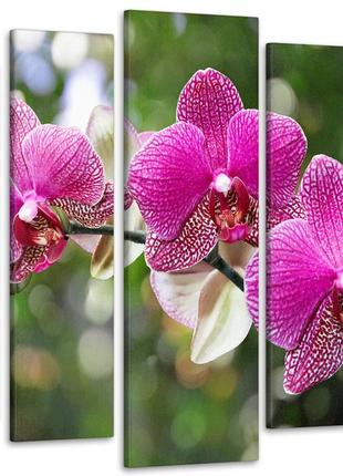 Модульная картина орхидея art-112_5 90х132 см melmil
