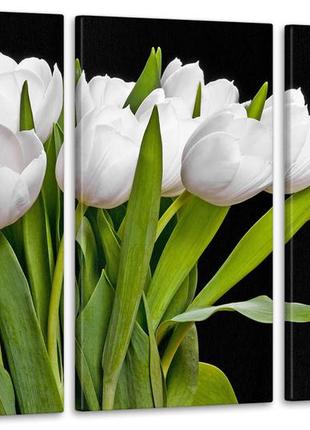 Модульная картина цветы тюльпаны аrt-86_3а 70х130 см melmil