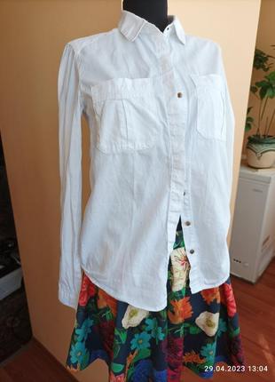 Бавовняна сорочка