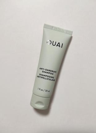 Шампунь против перхоти и раздражения ouai anti-dandruff shampoo