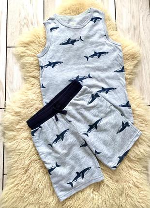 Летний комплект костюм акулы