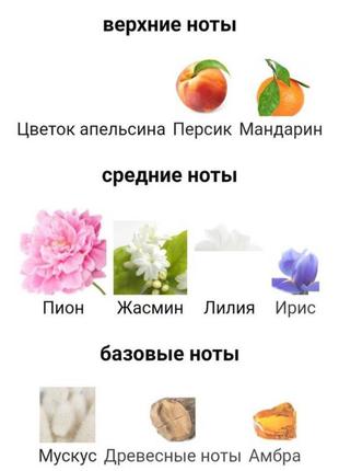 Парфумована вода elizabeth arden pretty елізабет арден претті 100 мл2 фото