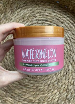 Баттер для тіла tree hut watermelon whipped body butter