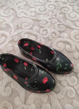 Аквашущи мильниці