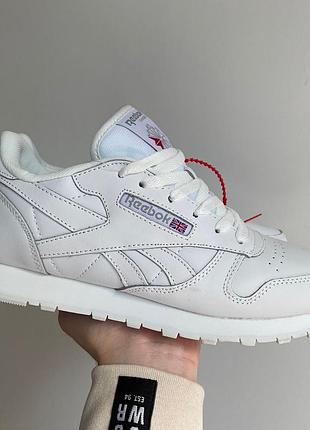 Кросівки reebok white classic