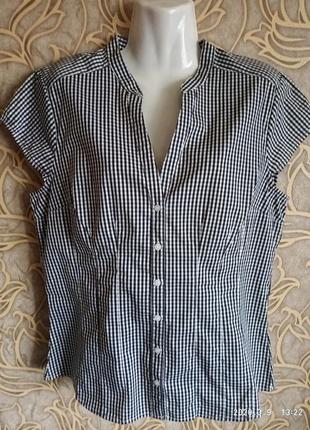 (728) чудова стрейчева сорочка h&m у дрібну карту/розмір 14/44
