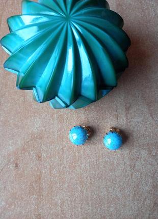 Вiнтажнi клiпси з пекiнським склом