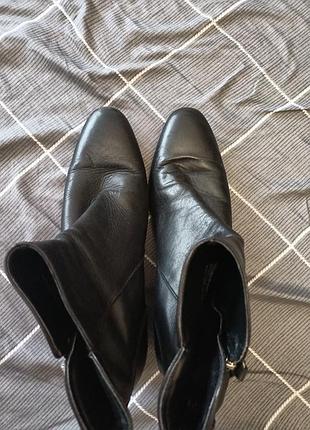 Кожаные сапожки zara basic 2
