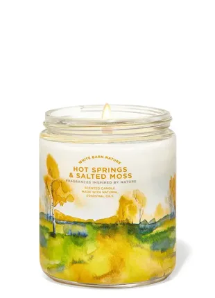 Ароматична свічка bath and body works hot springs & salted moss1 фото