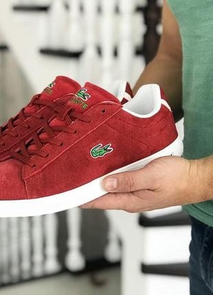 Мужские кеды lacoste