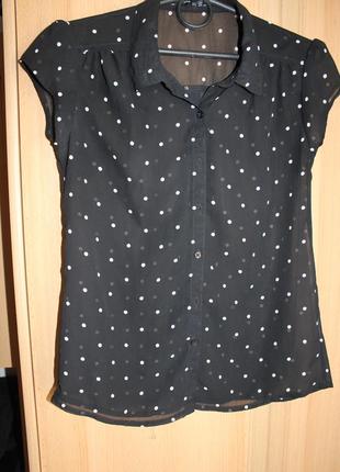 Блузка рубашка чёрная в горошек xs_s4 фото