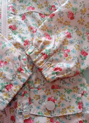 Вiтрівка , куртка next 18-24міс. 6