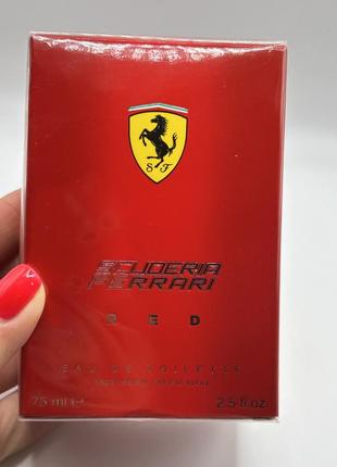 Ferrari man in red