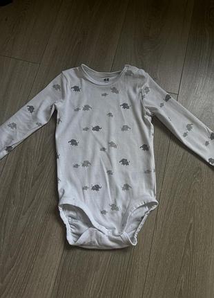 Бодік hm 2