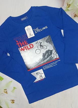 Трикотажний реглан для хлопчиків