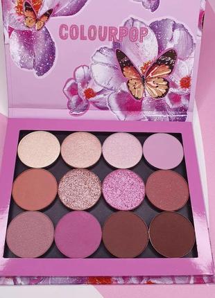 Палетка теней colourpop violet vibez2 фото