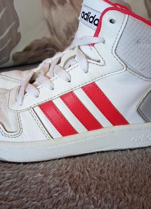 Шкіряні кросівки adidas 33p.