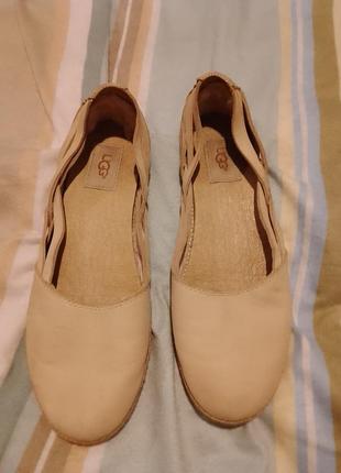 Жіночі туфлі ugg