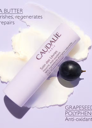 Відновлюючий поживний бальзам кондиціонер для губ caudalie lip conditioner з олією каріте3 фото