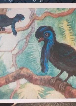 Листівка 1968 актуально