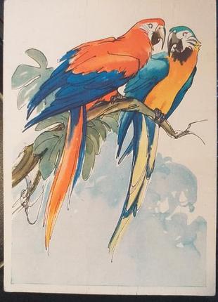 Открытка 1964 актуально