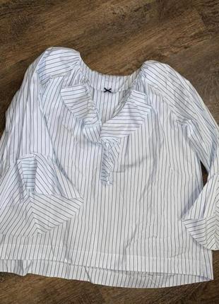 Голуба блуза в смужку блуза з пишним рукавом нарядна блузка бавовняна блуза блузка з оборками блузка з воланом marc cain4 фото