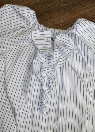 Голова блуза в полоску блуза с пышным рукавом нарядная блузка хлопковая блузка блузка с оборками блузка с воланом marc cain8 фото