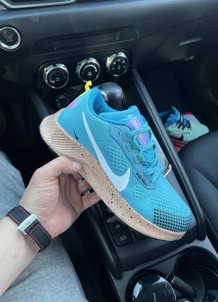 Кросівки чоловічі nike pegasus trail 3