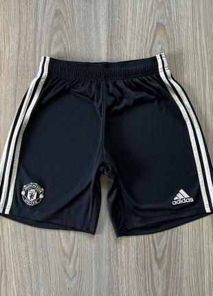 Мужские спортивные футбольные тренировочные шорты adidas manchester cotton short